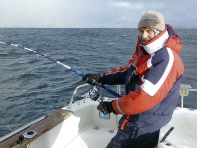 WFT Plasma Ocean Blue